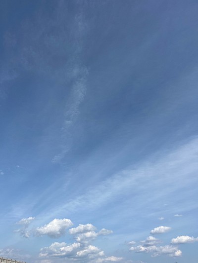 多彩な個性を大切に